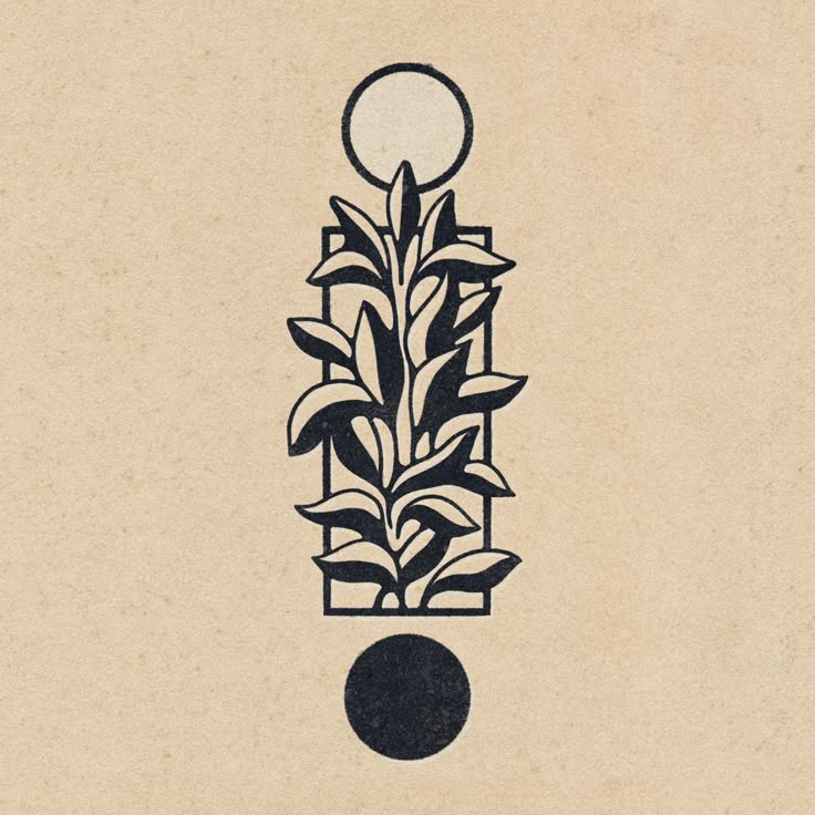 Erbe Alpine Preparazioni Erboristiche